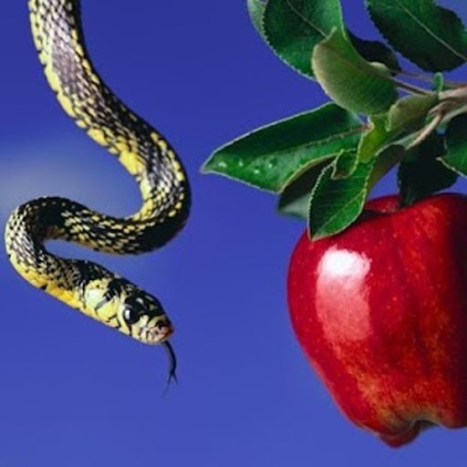 Snakes jigsaw puzzles截图9