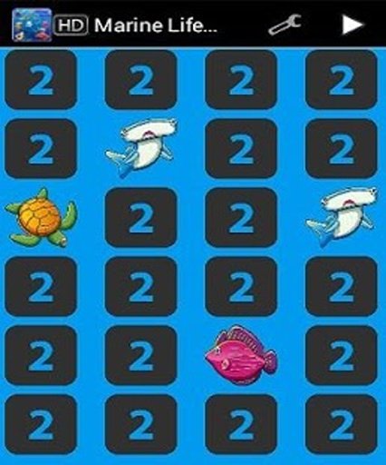 Marine Life Memory Games截图11