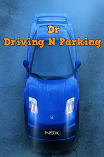 Dr Driving N Parking截图1