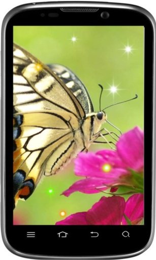 Butterfly Nice live wallpaper截图4