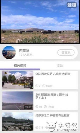 西藏旅游攻略视频截图3