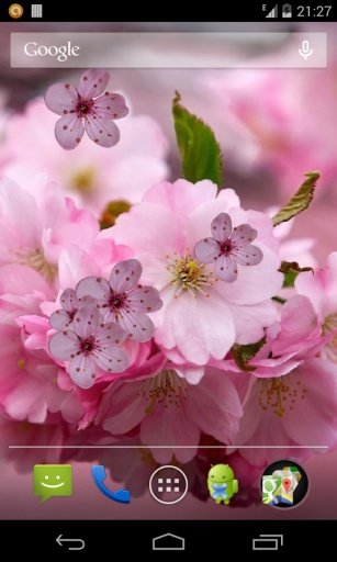 Cherry Flower截图6