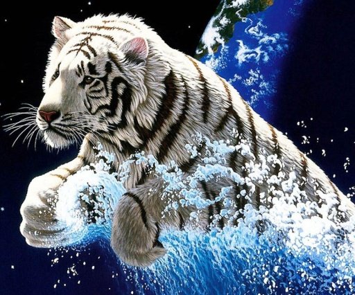 3D Tiger Live Wallpaper截图1