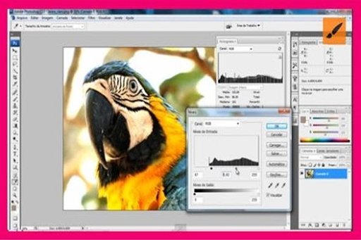 Photoshop CS3 Video Tutorial截图6