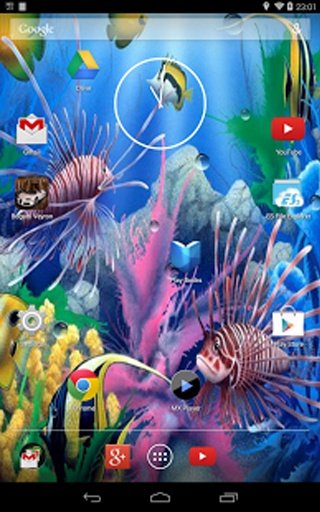 Koi Aquarium Live Wallpaper截图2