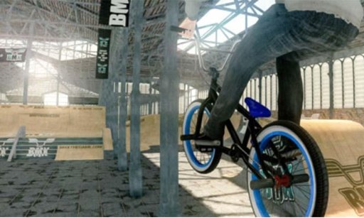 BMX X-Freestyle截图2