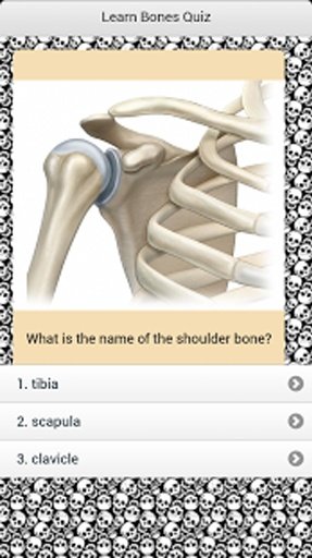 Learn Bones Quiz截图1