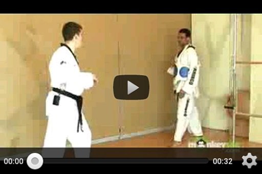 Taekwondo Tip Videos截图4