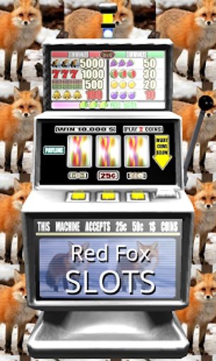 3D Red Fox Slots - Free截图2