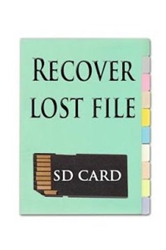 Recover File From SDcard截图