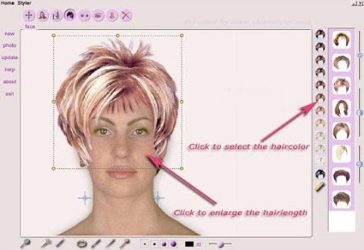 Hair Style Games Online截图2