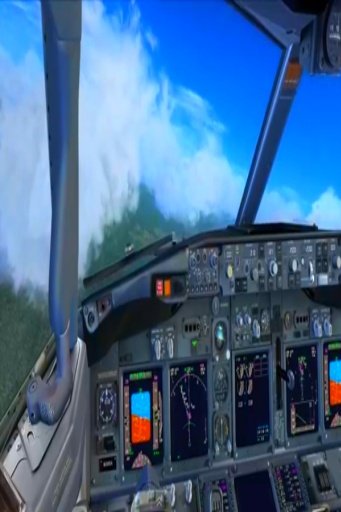 3D Flying Simulator截图6
