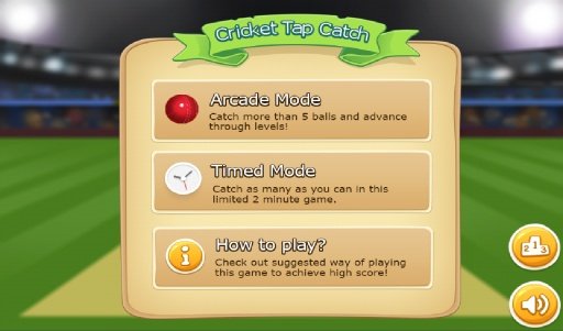 TapCatch Cricket game截图2