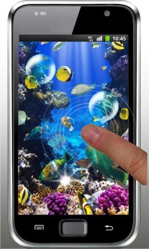 Fish Underwater live wallpaper截图3