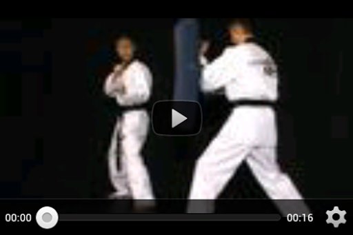 Taekwondo Tip Videos截图1