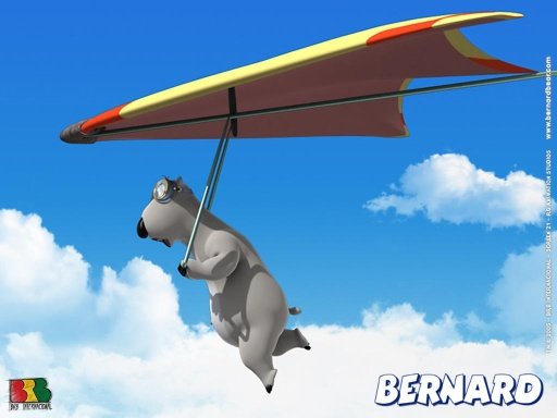 Bernard Bear Full Episode HD截图1