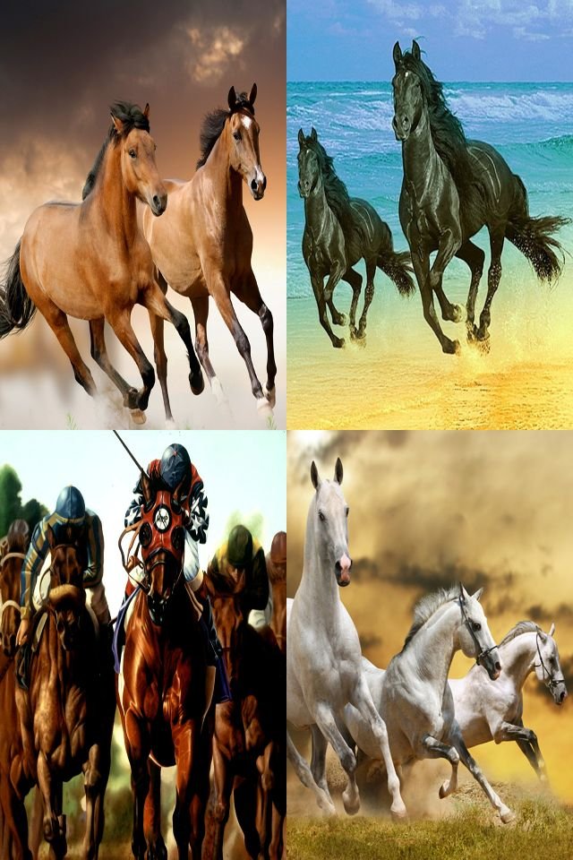 Horse Dash截图4