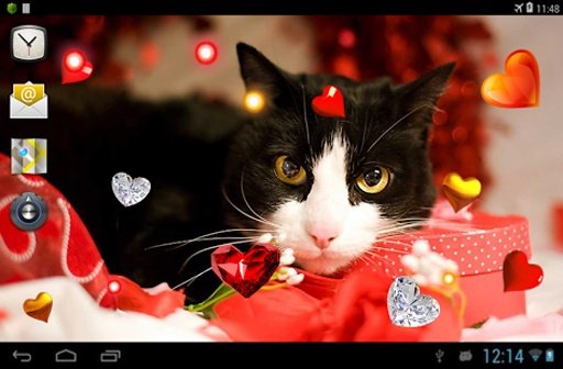 Valentine Kitties 2014 HQ LWP截图6