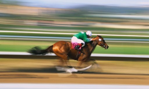 Horse Racing Free Games截图2