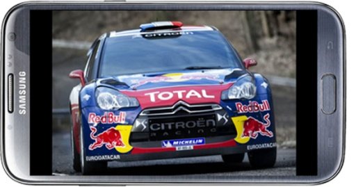 WRC赛车截图5