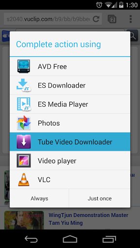 Easy Video Downloader截图1