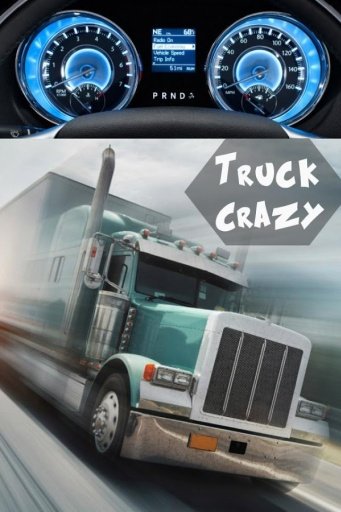 Truck Crazy Simulator 2014截图10