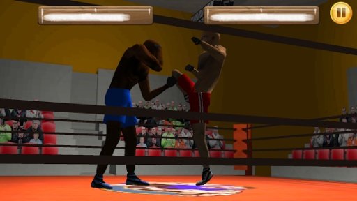 Wrestling Fight 3D截图7