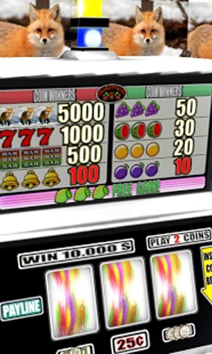 3D Red Fox Slots - Free截图1