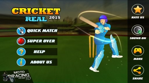 Real Cricket 2015截图3