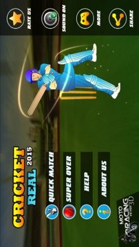 Real Cricket 2015截图