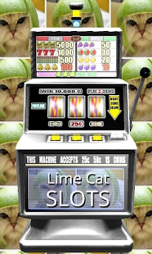 3D Lime Cat Slots - Free截图2