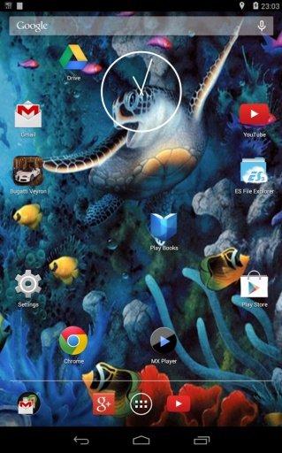 Koi Aquarium Live Wallpaper截图3