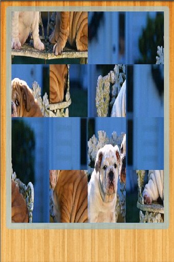 Funny Dogs Puzzle &amp; Wallpapers截图7