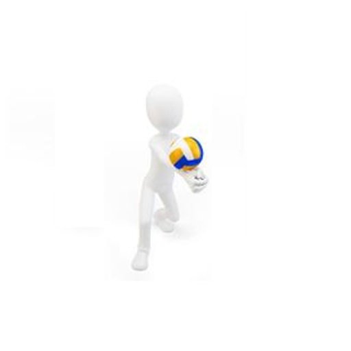 hoba volley games截图1