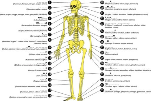 Learn Bones截图5