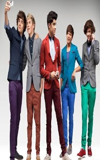 One Direction Fans Games截图1