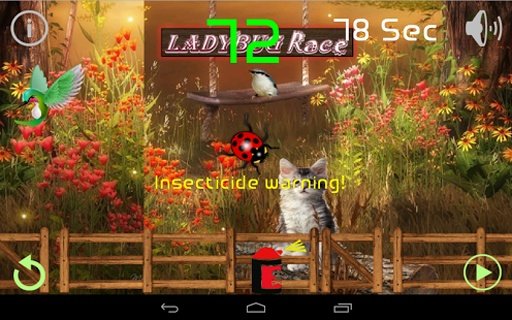 Ladybug Race - Ladybug Go! Go!截图2