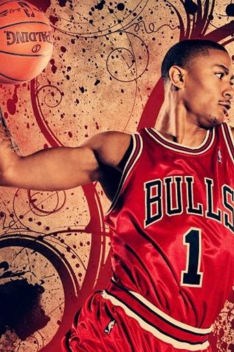 Chicago Bulls Live Wallpaper截图3