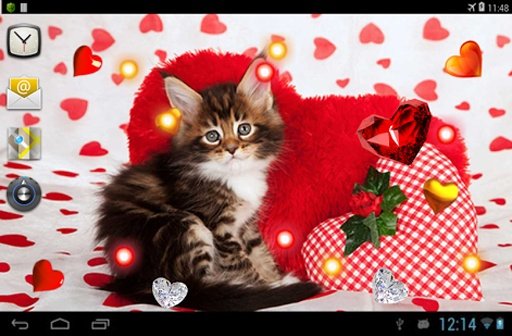 Valentine Kitties 2014 HQ LWP截图4