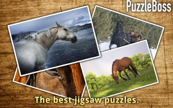 Horse Jigsaw Puzzles FREE截图2