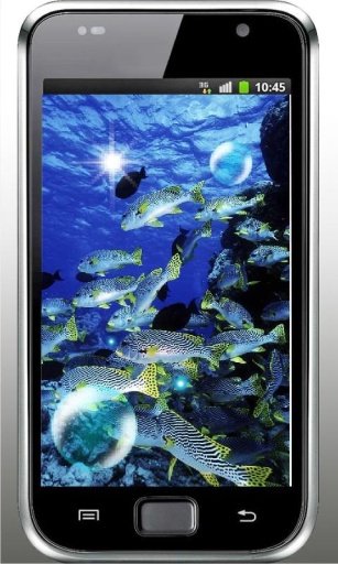 Fish Underwater live wallpaper截图5