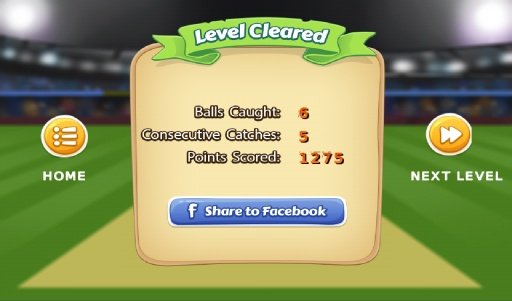 TapCatch Cricket game截图7