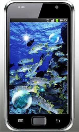 Fish Underwater live wallpaper截图2