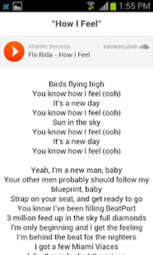 Flo Rida Lyrics截图7