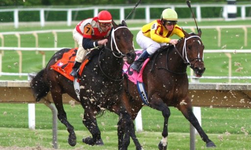 Horse Racing Free Games截图4