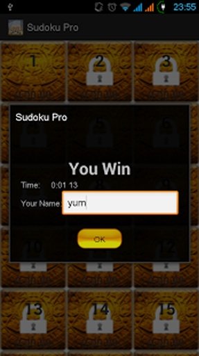 Sudoku Pro HD截图1