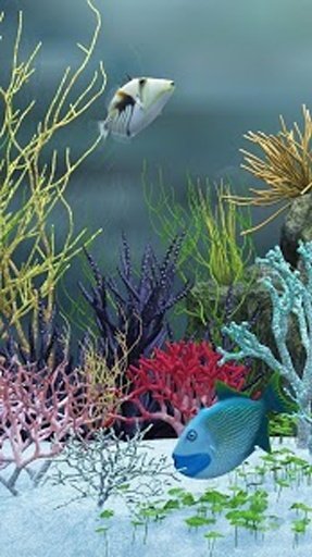 Aquarium HD Live Wallpapers截图1