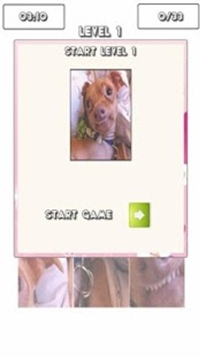 Tuna The Dog Puzzle Games截图3