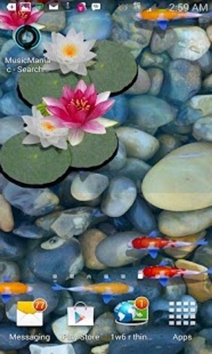 3D Koi Fish Pond Live Wallpaper截图7