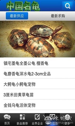 中国名龟截图1